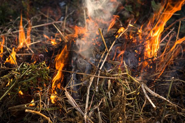 insel-salz.de - Heuaschesalz